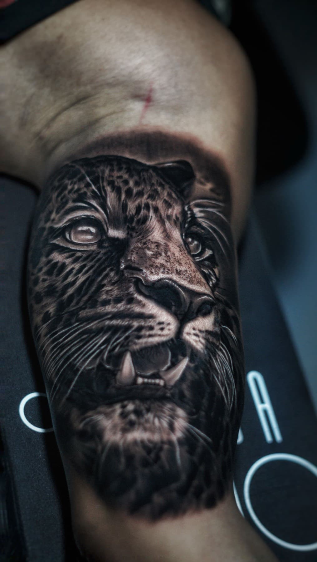 Tatuaje Animales